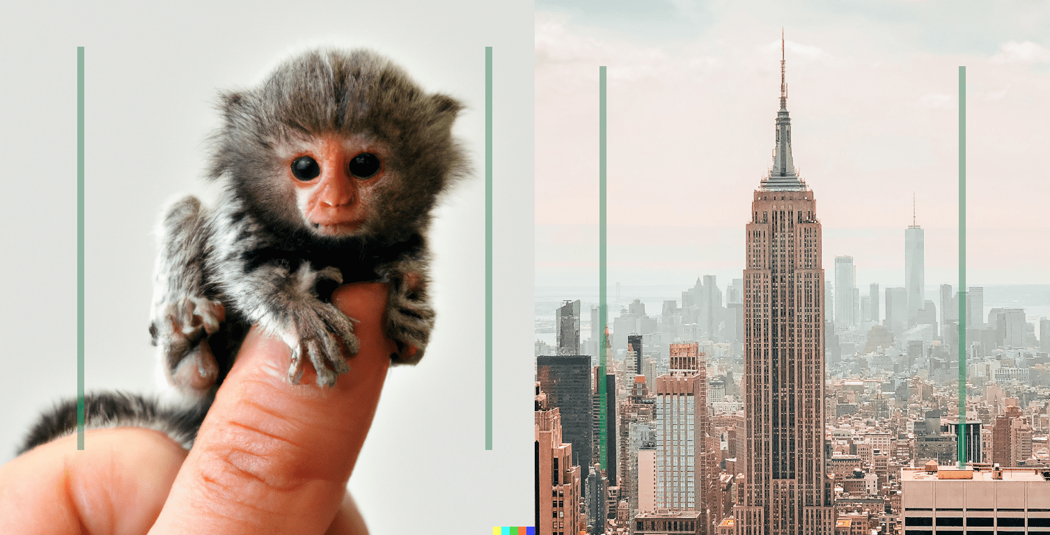 A collage of images with a little finger monkey on a finger and the empire state building