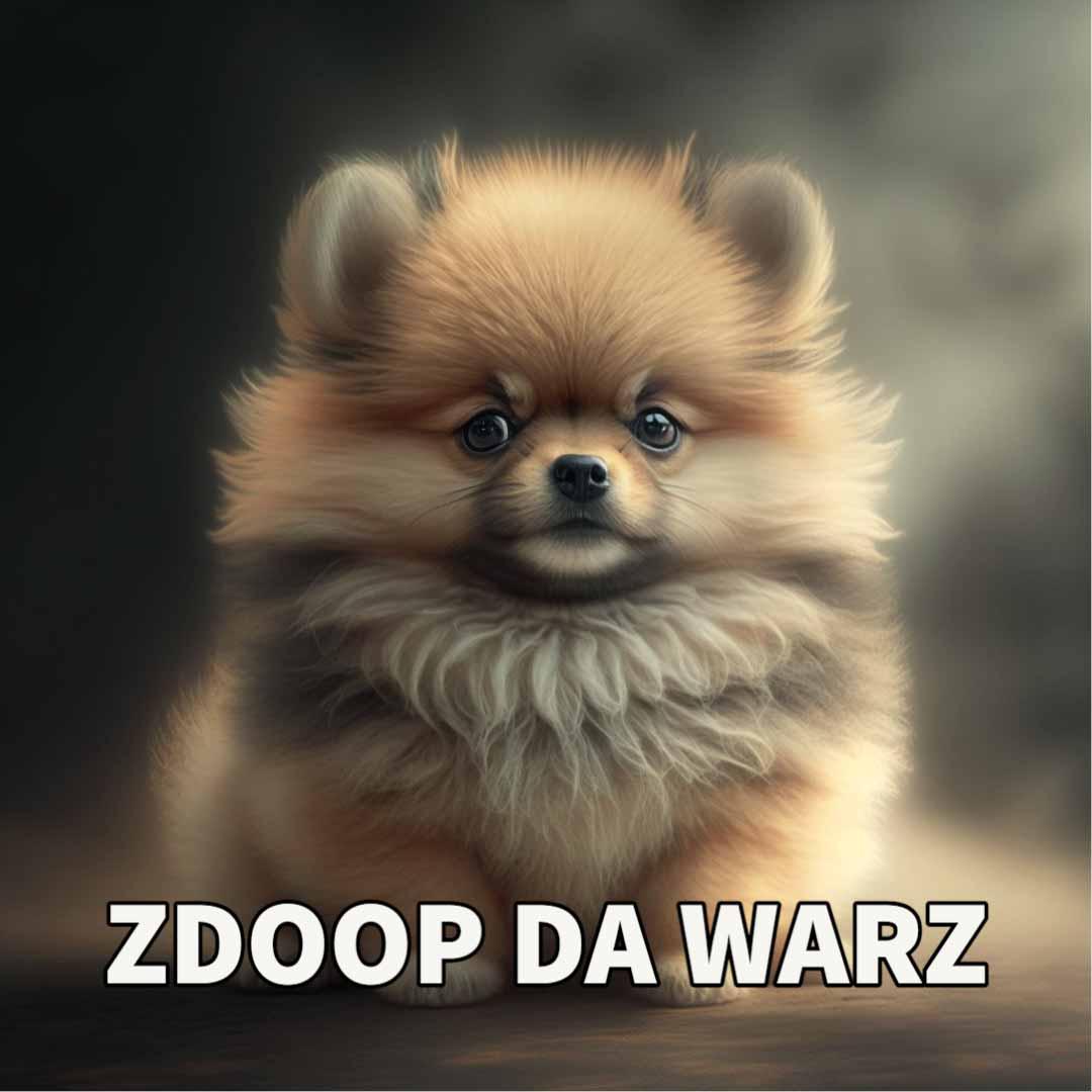 A cute puppy with meme text underneath that reads 'zdoop da warz'